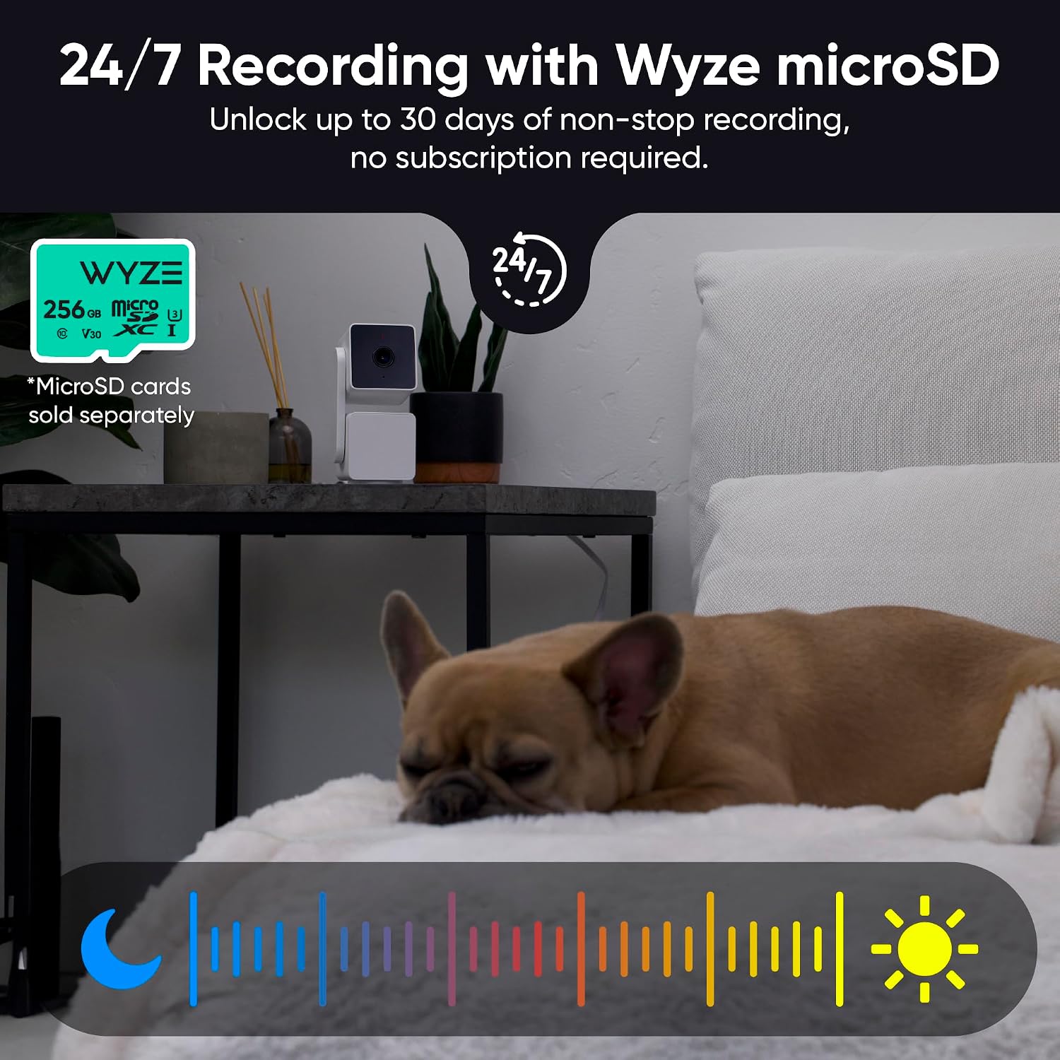 Cámara de seguridad WYZE Cam P - Pan Tilt Bracket reseña y precio
